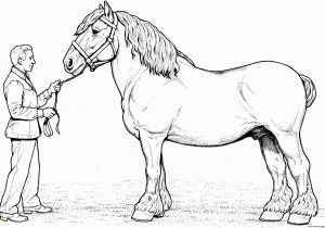 Clydesdale Horse Coloring Pages to Print Clydesdale Horse Coloring Pages Printable
