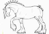 Clydesdale Horse Coloring Pages to Print Download Clydesdale Coloring for Free Designlooter 2020