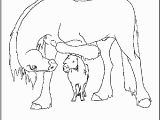 Clydesdale Horse Coloring Pages to Print the Best Free Clydesdale Coloring Page Images Download