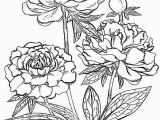 Color by Number Flower Coloring Pages Peony Flower Coloring Pages