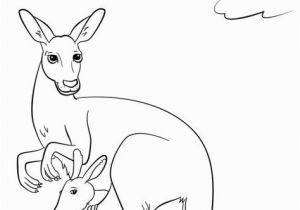 Color by Number Kangaroo Coloring Page Letter K is for Kangaroo Preschool Coloring Page Free