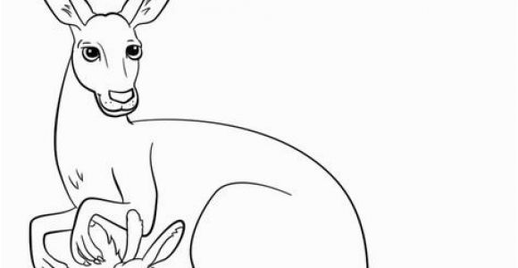 Color by Number Kangaroo Coloring Page Letter K is for Kangaroo Preschool Coloring Page Free