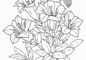 Color Pages for Adults Flowers How to Draw Flowers Step by Step Simple Flower Coloring Pages Lovely