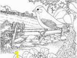 Colorado State Bird Coloring Page 2222 Best Coloring Pages Adults and Kids Images