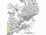 Colorado State Bird Coloring Page Colorado Wordsearch Crossword Puzzle and More