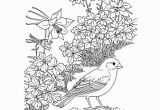 Colorado State Bird Coloring Page Colorado Wordsearch Crossword Puzzle and More