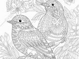 Colorado State Bird Coloring Page Coloring Pages for Adults Love Birds Spring Flowers Blossoming