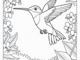 Colorado State Bird Coloring Page Coloring Pages Hummingbirds