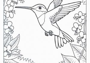 Colorado State Bird Coloring Page Coloring Pages Hummingbirds