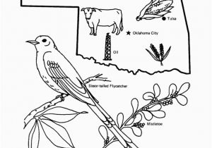 Colorado State Bird Coloring Page Oklahoma State Outline Coloring Page Free Worksheets