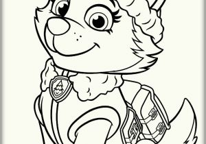 Coloring In Pages Paw Patrol Paw Patrol Everest Coloring Pages with Images
