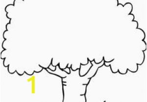 Coloring Page Coconut Tree 2070 Best Example Trees Drawing Images