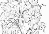 Coloring Page Of A Plant Flowering Dogwood Coloring Page