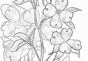 Coloring Page Of A Plant Flowering Dogwood Coloring Page