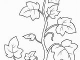 Coloring Page Of A Plant Image Result for Coloring Page Vine and Branches