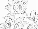 Coloring Page Of A Plant Japanese Camellia Coloring Page