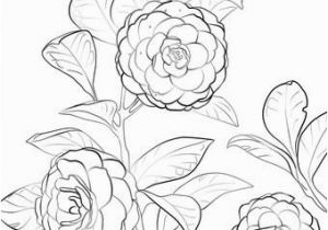 Coloring Page Of A Plant Japanese Camellia Coloring Page