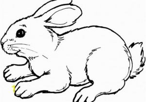 Coloring Page Of A Rabbit Bunny Cutouts to Print Free
