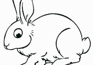 Coloring Page Of A Rabbit Coloring Pages A Bunny M9307 Free Printable Coloring Pages