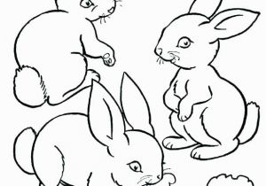 Coloring Page Of A Rabbit Coloring Pages Bunny Bunny Rabbit Coloring Page Bunny Rabbit