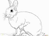 Coloring Page Of A Rabbit Rabbits Coloring Pages