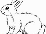 Coloring Page Of A Rabbit Rabbits Coloring Pages