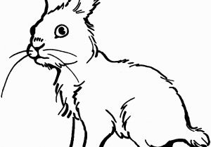 Coloring Page Of A Rabbit Rabbits Coloring Pages