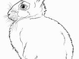 Coloring Page Of A Rabbit Rabbits Coloring Pages