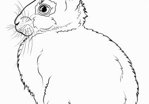 Coloring Page Of A Rabbit Rabbits Coloring Pages