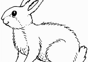 Coloring Page Of A Rabbit Rabbits Coloring Pages