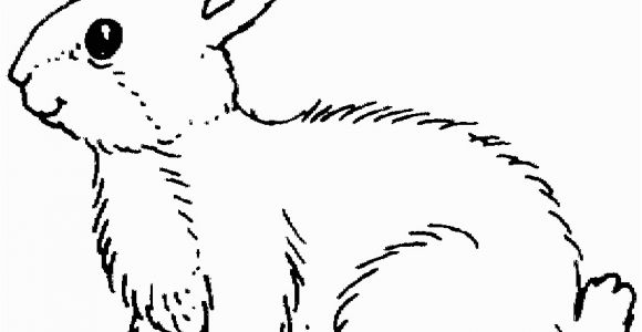 Coloring Page Of A Rabbit Rabbits Coloring Pages