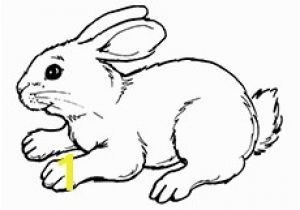 Coloring Page Of A Rabbit top 10 Free Printable Rabbit Coloring Pages Line