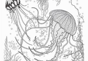 Coloring Page Of A River Coloring Page A River New Coloring Page A River Luxury Colorear