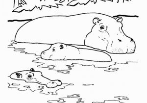 Coloring Page Of A River Wild Animal Coloring Page River Hippo Coloring Page