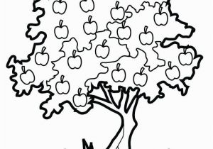 Coloring Page Of An Apple Tree Fruit Tree Coloring Page 18 Fresh Coloring Page An Apple Tree Kids