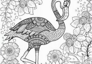 Coloring Page Of Flamingo Birds Coloring Pages for Adults