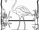 Coloring Page Of Flamingo Flamingo Coloring Page