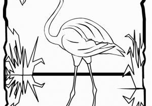 Coloring Page Of Flamingo Flamingo Coloring Page