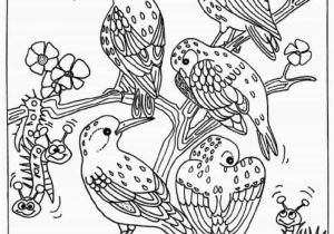 Coloring Pages Birds Flying 25 Birds Coloring Pages for Kids