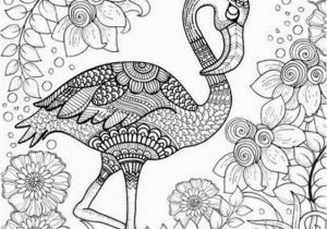 Coloring Pages Birds Flying Free Printable Adult Coloring Page Of Pink Flamingo Bird