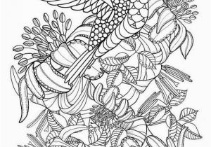 Coloring Pages Birds Flying Hummingbird Printable Coloring Pages Digital Of Beautiful