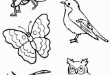 Coloring Pages Birds Flying I Am Thankful for Birds and Insects Coloring Page