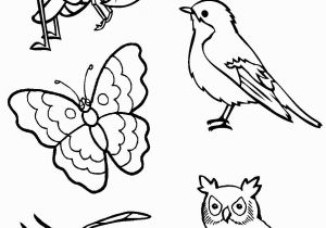 Coloring Pages Birds Flying I Am Thankful for Birds and Insects Coloring Page