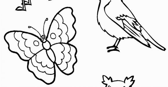 Coloring Pages Birds Flying I Am Thankful for Birds and Insects Coloring Page