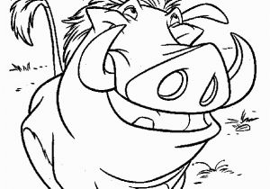 Coloring Pages Disney Lion King Lion King Timon and Pumbaa Coloring Page Mit Bildern