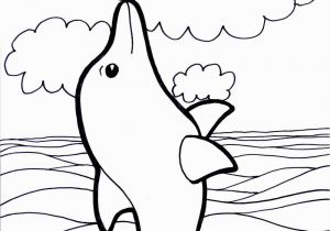 Coloring Pages Dolphins Dolphin Coloring Pages to Print Dolphins