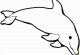 Coloring Pages Dolphins Dolphins Coloring Pages