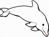 Coloring Pages Dolphins Dolphins Coloring Pages