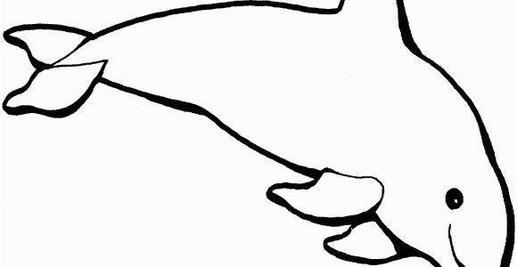 Coloring Pages Dolphins Dolphins Coloring Pages