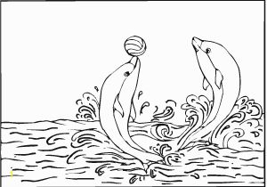 Coloring Pages Dolphins Free Printable Dolphin Coloring Pages for Kids